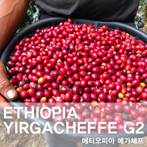 [카페마스터]에티오피아 예가체프 G2(생두 10kg)